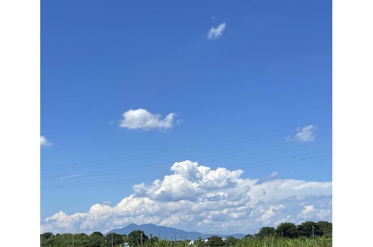 夏
