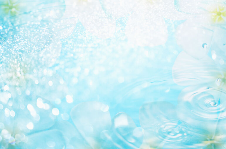 HS113_L